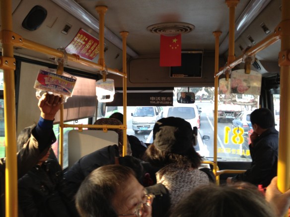 Luoyang city bus #81