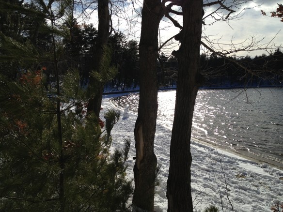 Walden Pond