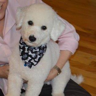 484530_3961216282073_347523718_n